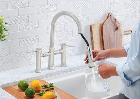 Blanco Empressa Pull-Down Bridge Kitchen Faucet 1