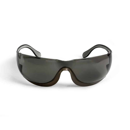 Moldex Safety Glasses Anti-fog Smoke Lens 1