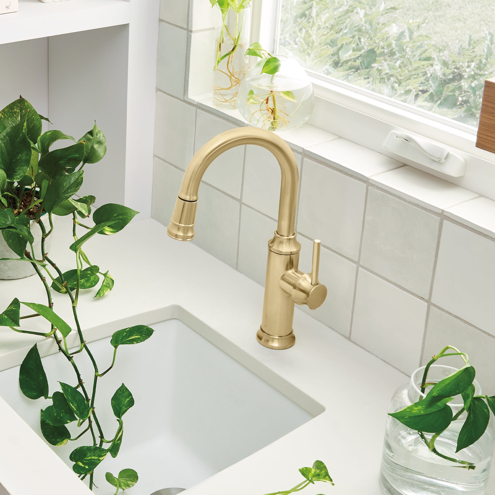 Blanco Empressa Pull-Down Bar Faucet 8