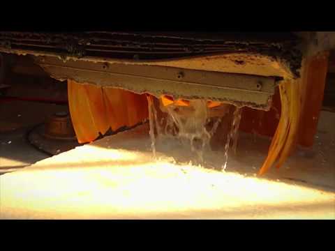 video shows ZENESIS Finger Bits