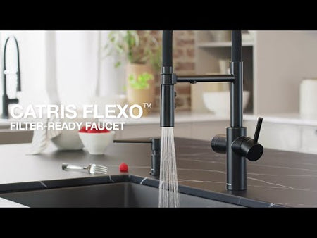 vidoe shows Blanco Catris Semi-Pro Faucet
